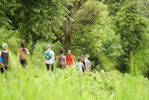 Students walking through green hillside meadows on an excursion