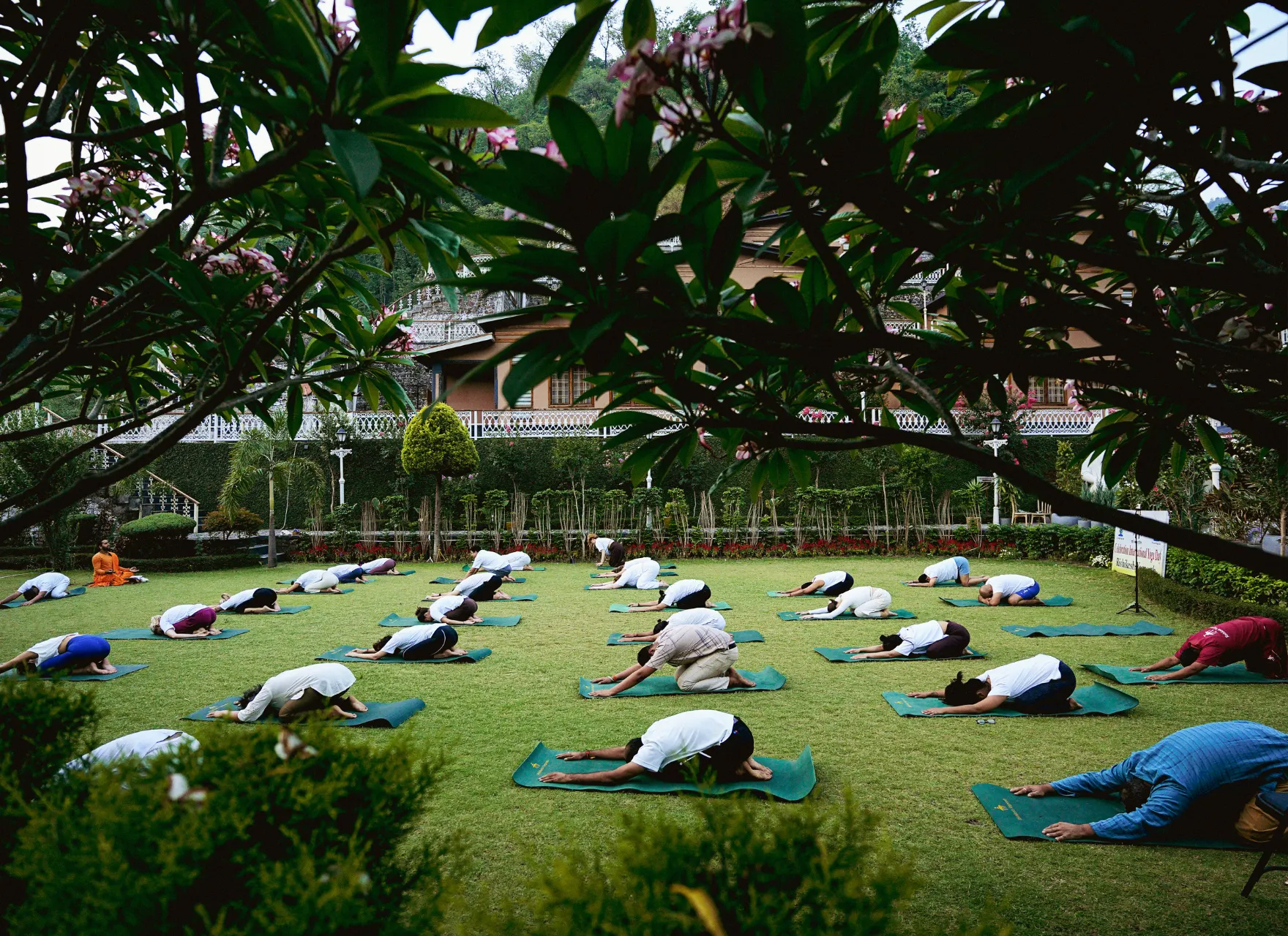 Morning asana class in open shala