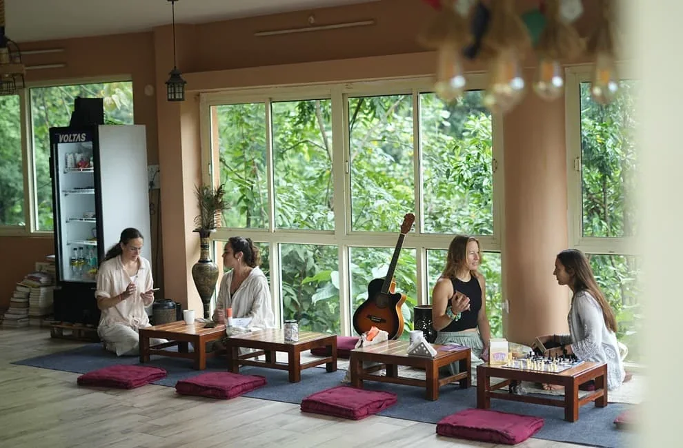 Students talking in the sunlit ashram lounge at Abhayaranya Yoga Ashram, with forest views through large windows