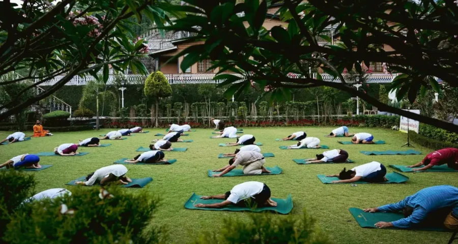 Morning Asana